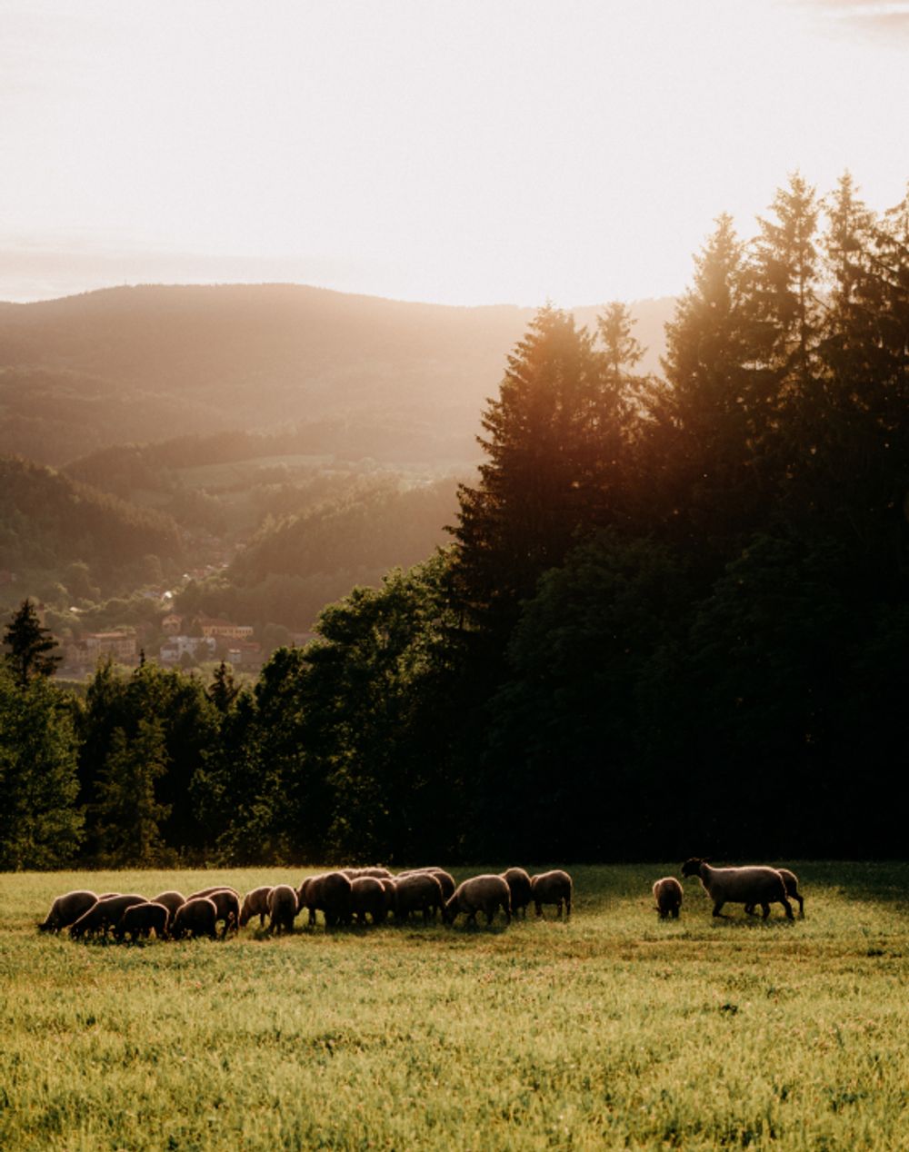 Jizerské domky - Neposeda, photo 3