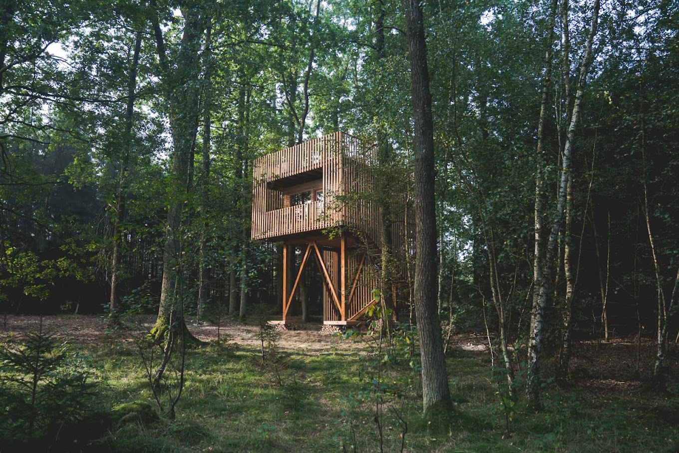 Stromovny, photo 2