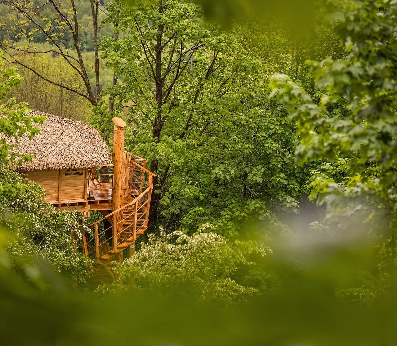 Treehouse Amálka, fotka 2