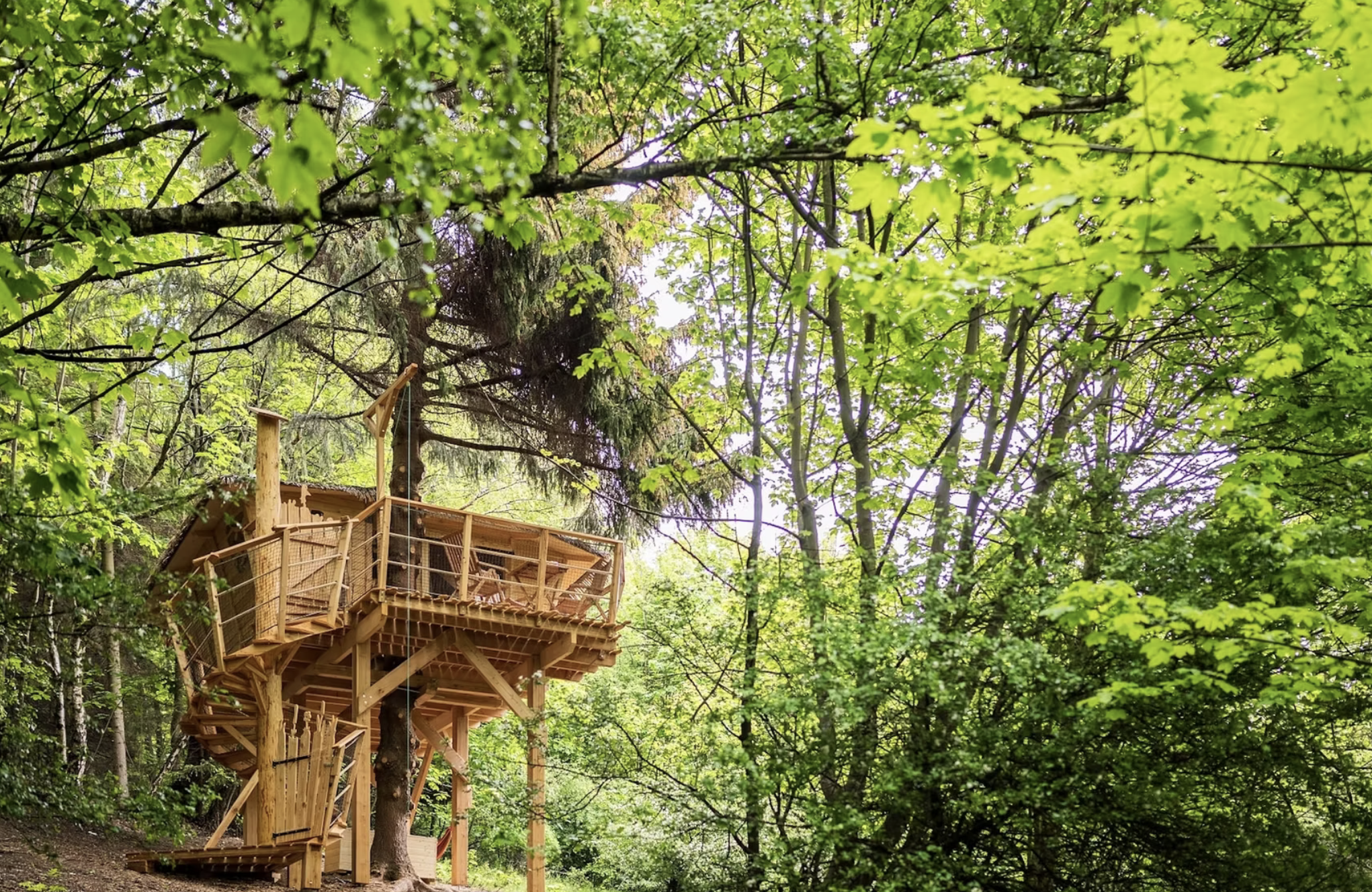 Treehouse Emanuel, photo 2