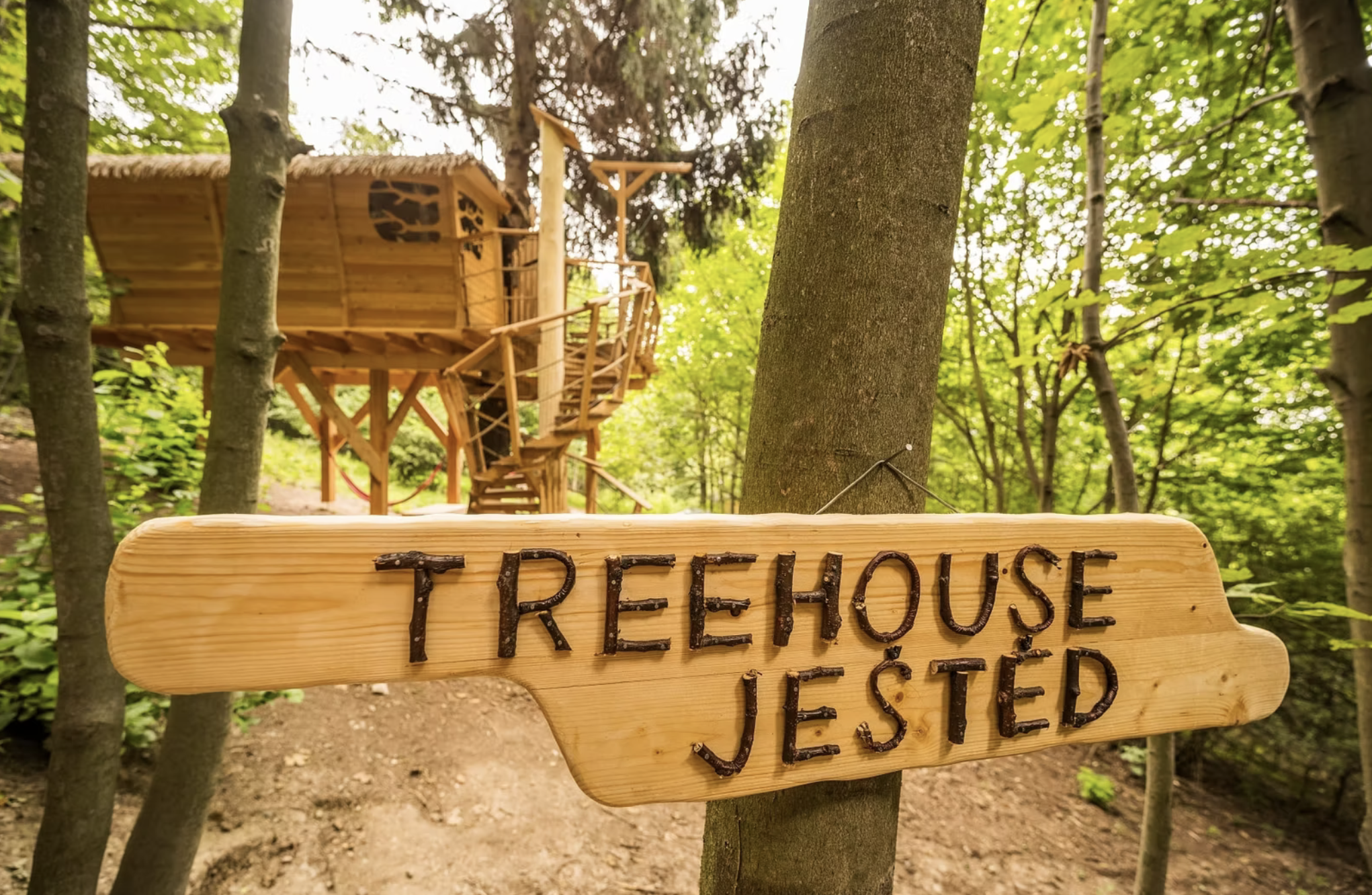 Treehouse Emanuel, photo 3